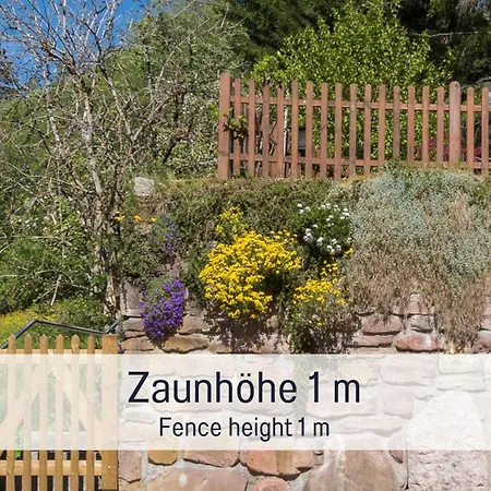 Holzhaus Am Wald: Sauna | Eingezaeunt *