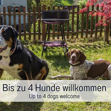 Holzhaus Am Wald: Sauna | Eingezaeunt *